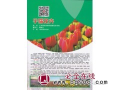 2021青州草花专业的苗木花卉基地 宇瑞花卉基地 润景花卉图1