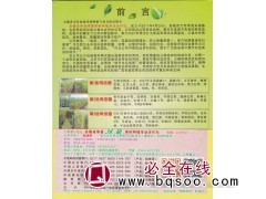 寿县绿康果树种植专业合作社供应苹果、枣、樱桃、板栗苗图1
