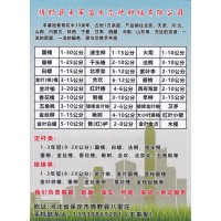 1-30公分国槐价格表 国槐基地 来军苗木花卉种植有限公司