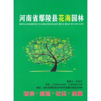 河南鄢陵县花海园林 花海设计 园林施工 草花供应 宿根花卉