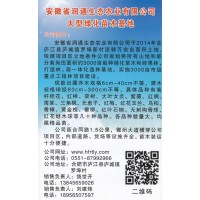 安徽省润通生态农业有限公司 高杆桂花 大规格桂花价格表 桂花