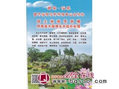 台安仙奥苗木宿根花卉种植专业合作社专供耐寒宿根花卉图1