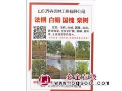 山东乔卉园林工程有限公司主营法桐 速生法桐 法桐行道树价格图1
