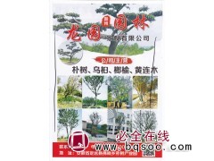 朴树、乌桕、榔榆、黄连木 滁州龙园园林景观有限公司图1