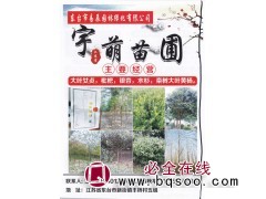 大叶女贞基地 东台女贞 宇萌苗圃 大叶女贞精品树供应图1