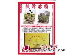 东台新街茂泽苗圃主营:大叶黄杨、小叶黄杨、黄杨造型树图1