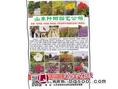 山东阡陌园艺承接牡丹园、木瓜园、梅花园、百草园花海工程图1