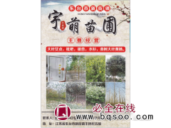 东台市宇萌苗圃 ' 大叶女贞，枇杷，银杏，水杉，栾树大叶黄杨图1