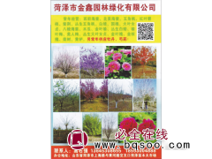 西府海棠图1