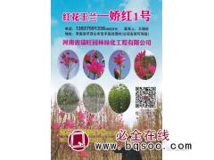 红花王兰一娇红1号  河南瑞旺园林绿化工程有限公司图1