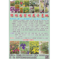 鞍山市绿林园宿根花卉基地 大量出售宿根花卉，水生花卉，杯苗