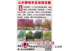 山东聊城莘县绿园苗圃主营北美海棠，12-18公分的绚丽海棠图1