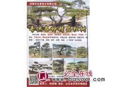 济南市名君苗木有限公司，造型树图1