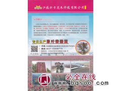 江蘇紅方花木科技有限公司，红叶石楠，金森女贞，图1