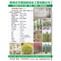 滁州市华景园林绿化工程有限公司、红叶石楠，蜀桧，龙柏