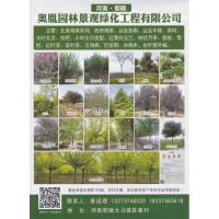 鄢陵县奥胤园林景观绿化工程有限公司，北美海棠