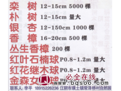 江阴市栾树繁育基地、栾树、朴树、银杏图1