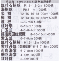 常州市正海红叶石楠球基地 红叶石楠球价目表 精品红叶石楠球