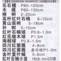 常州市建光苗圃基地 花石榴价目表 精品花石榴