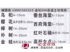 常州市国良乌桕苗圃 乌桕价目表 精品乌桕图1