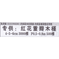 江苏省洪南苗木经销部  红花重瓣木槿价目表 精品红花重瓣木槿