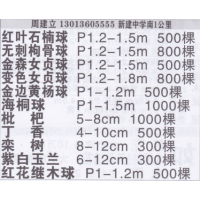 江西省建立苗圃基地 红叶石楠球 精品红石榴球