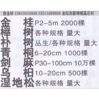 金坛市金林苗圃场 金桂 金桂价目表 精品金桂