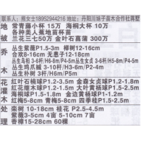 丹阳市川妹子苗木合作社 丛生紫薇 丛生紫薇价目表