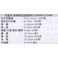 常州市建平苗木合作社 红叶石楠球基地 精品红叶石楠球