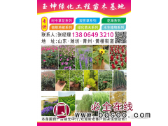 玉坤绿化工程苗木基地 福禄考 福禄考价目表 精品福禄考图1