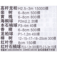 常州市毓亭绿化苗木繁育基地 高干龙柏