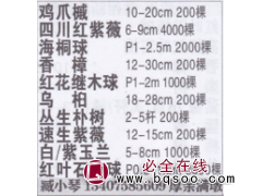江苏省常州市鸡爪槭繁育基地 精品鸡爪槭 鸡爪槭价目表图1