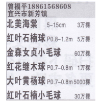 宜兴市新芳镇北美海棠基地 精品北美海棠