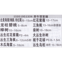 奔牛贺家塘北美海棠基地 北美海棠价目表