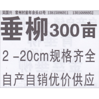 常州市国兴垂柳基地 精品柳树 柳树价目表