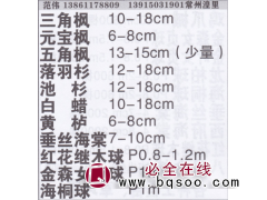 常州潢里范围三角枫基地 三角枫价目表图1