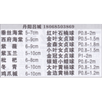 丹阳市吕城镇垂丝海棠基地