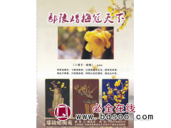 河南省鄢陵蜡梅苑  梅花 精品梅花 梅花繁育基地图1