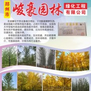 邳州市峻豪园林绿化工程有限公司