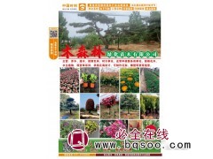 天人菊 青州宿根花卉 青州草花钵苗供应 木森林绿化苗木图1