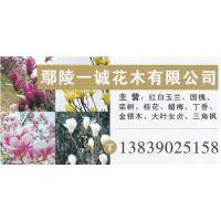 鄢陵一诚花木有限公司 玉兰基地 精品玉兰 玉兰价目表