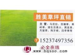 胜美草坪直销 精品马尼拉 马尼拉价目表 马尼拉基地图1