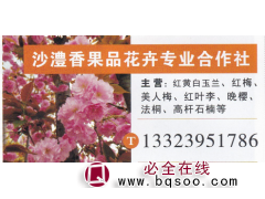 沙澧香果品花卉 红黄白玉兰基地 红黄白玉兰价目表图1