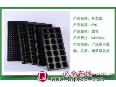 育苗盘蔬菜多肉芽苗菜平盘无孔林木加厚透明育苗穴盘图1
