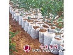 热销育苗袋 种植袋 无纺布育苗营养袋 弈彤塑料 质量有保障图1