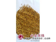 供应紫花苜蓿种子，紫花苜蓿种子批发销售，天邦草业图1