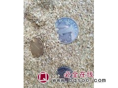 包衣早熟禾种护坡草坪种籽 批发包衣早熟禾草籽 天邦草业图1