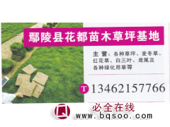 花都苗木草坪基地  麦冬草基地 麦冬草价目表图1