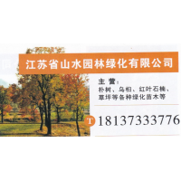 江苏省山水园林绿化有限公司 朴树基地 精品朴树 朴树价目表