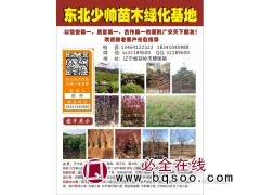 少帅苗木绿化基地供乔木类/花灌木类建圃小苗，工程绿化用苗图1